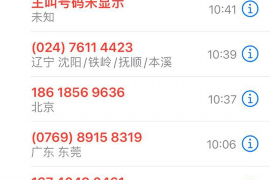 多莉找赛诺讨债:一场现代债务纠纷的缩影 多莉找赛诺讨债:一场现代债务纠纷的缩影