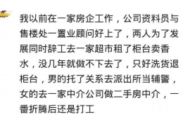 茶杯犬怎么讨债的？