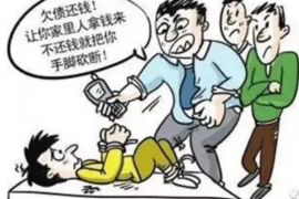 阳光信保催收电话——揭秘高效债务回收之道