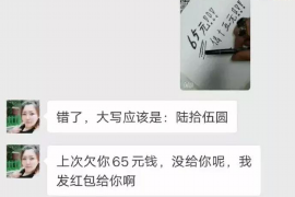 老鼠讨债的后果：揭秘金融欺诈背后的惊人真相