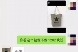 阿克塞清数公司排名：揭秘行业佼佼者
