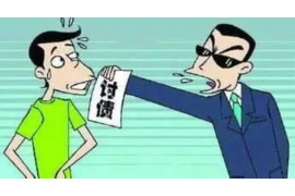 镇安要账公司哪家好？揭秘优质服务与专业实力