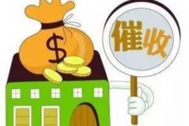 阳西催收公司哪里找？——揭秘高效债务催收解决方案