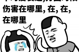 违法催收短信模板最新揭秘：如何识别与应对