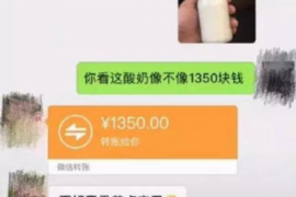 重庆上门讨债平台电话：高效解决债务问题的专业服务